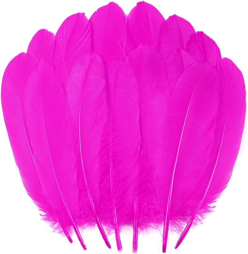 Ballinger Fuchsia Craft Goose Feathers - 120Pcs 6-8inch Large Feathers for DIY Crafts,Angel Wings,Dream Catcher and Wedding Party Decor - Image 1